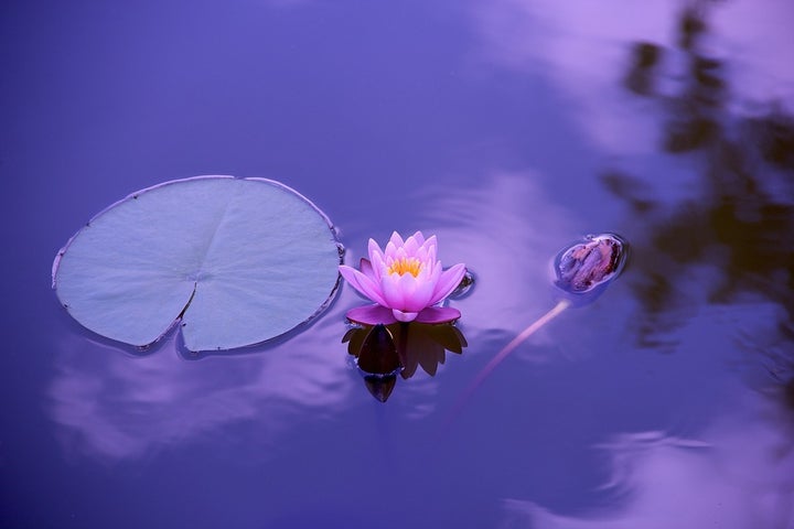 “Mindfulness is the aware, balanced acceptance of the present experience. It isn’t more complicated than that. It is opening to or receiving the present moment, pleasant or unpleasant, just as it is, without either clinging to it or rejecting it.” – Sylvia Boorstein