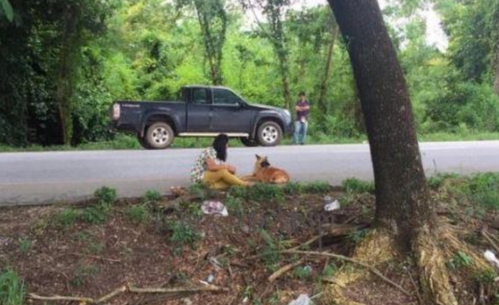 The three-year-old dog was fed by local people.