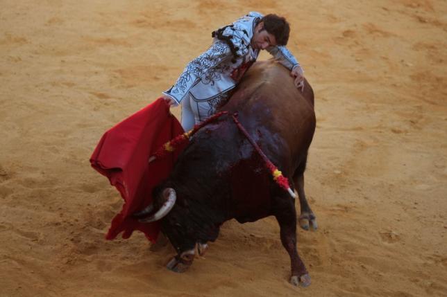 Spanish bullfighter Cayetano Rivera performs a pass to a bull during a ''Corrida Goyesca'' bullfight in Ronda, southern Spain