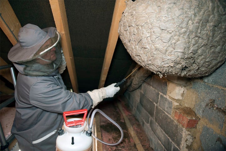 A pest controller approaches the huge dome 