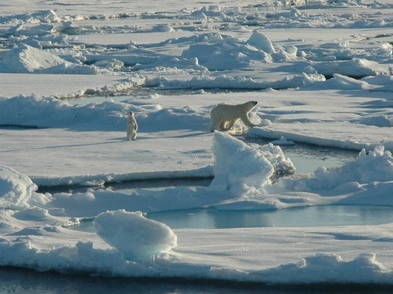 <i>Arctic Ocean</i>