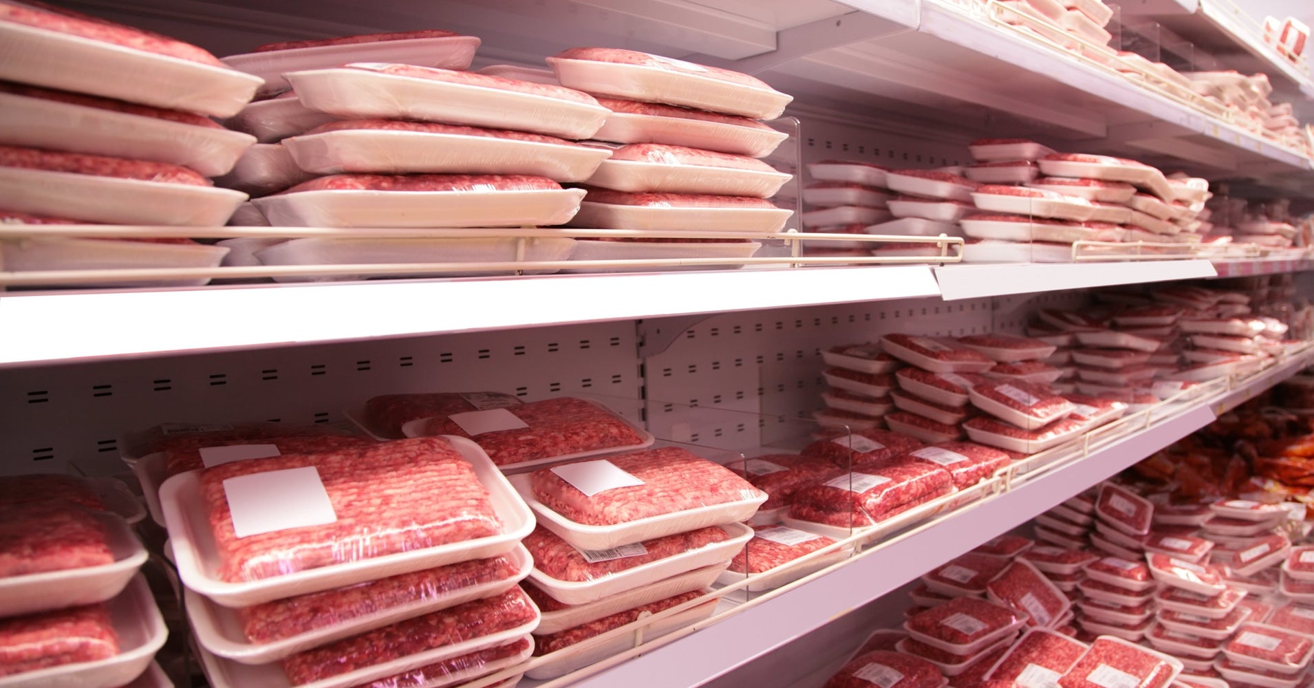 Adams Farm Slaughterhouse Recalls Beef, Bison And Veal Due To E.coli ... for Veal Slaughterhouse
35fsj Adams Farm Slaughterhouse Recalls Beef, Bison And Veal Due To E.coli ... for Veal Slaughterhouse
35fsj