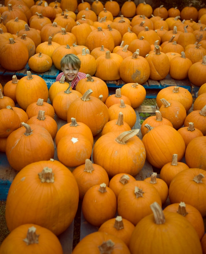 You don't have to hide your kid in a pumpkin patch this fall. 