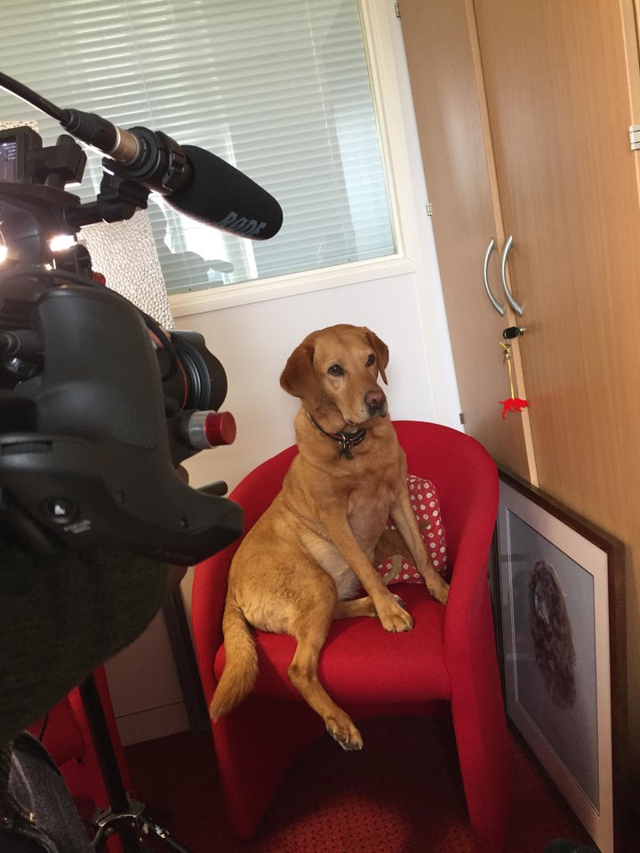 Daisy filming with HuffPost UK.