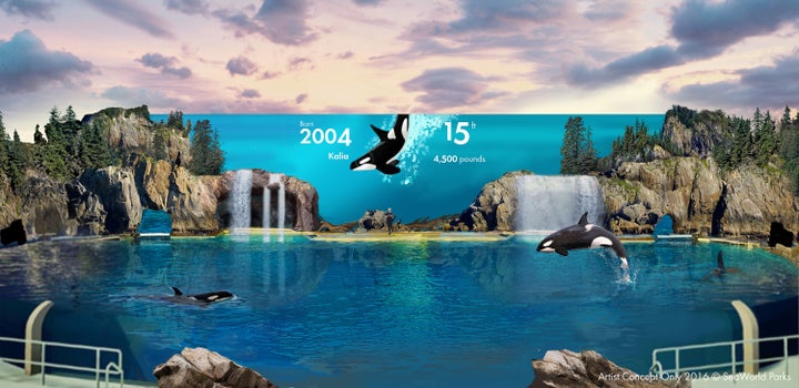 San Diego's new Orca Encounter will "combine multiple aquariums, exciting rides and digital technologies," according to a press release.