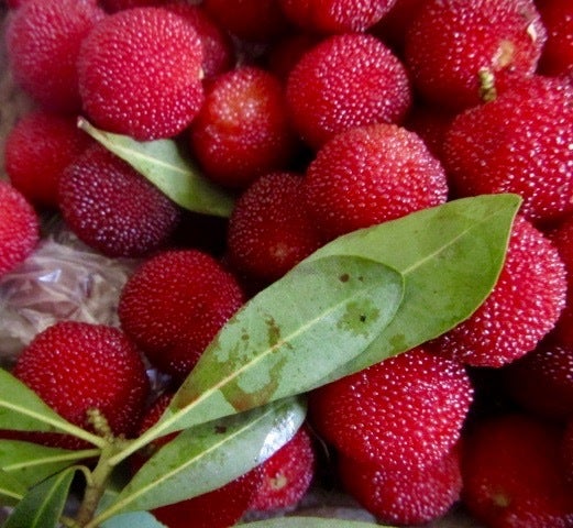Yangmei (杨梅), a Chinese fruit