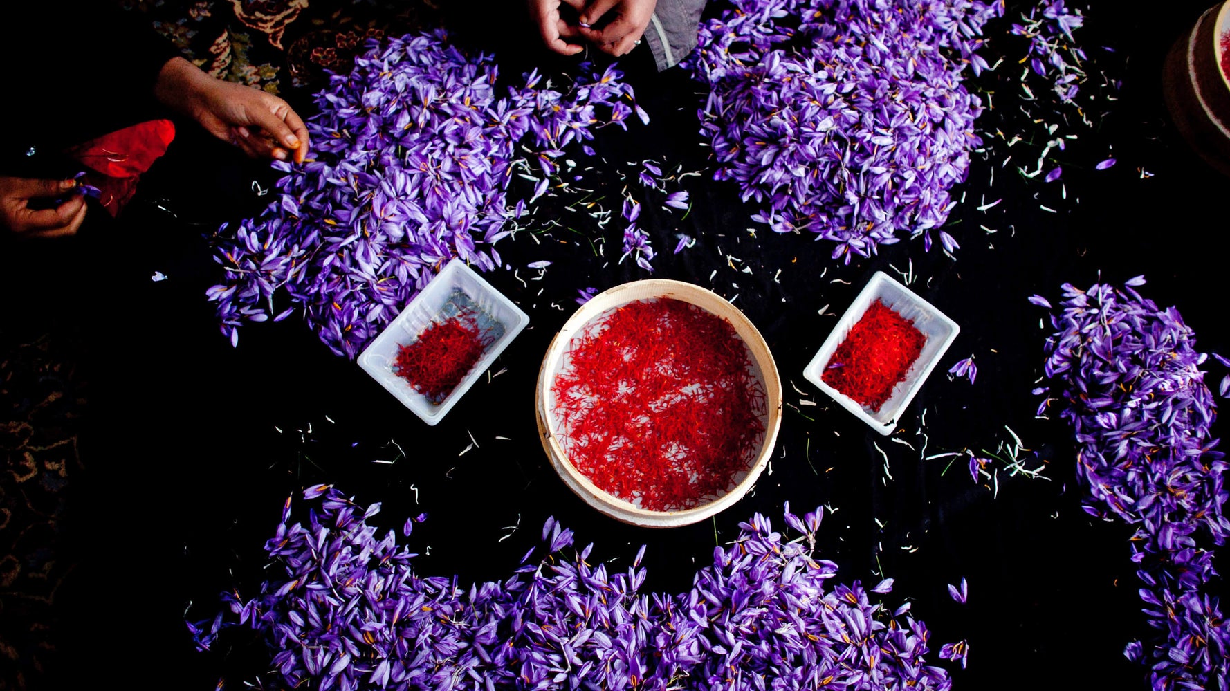 The Surprisingly Beautiful Origin Of Saffron HuffPost Life