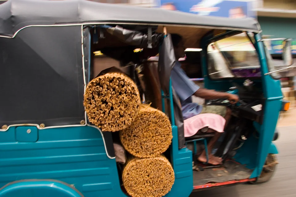 The Truth About Where Cinnamon Comes From Huffpost Life