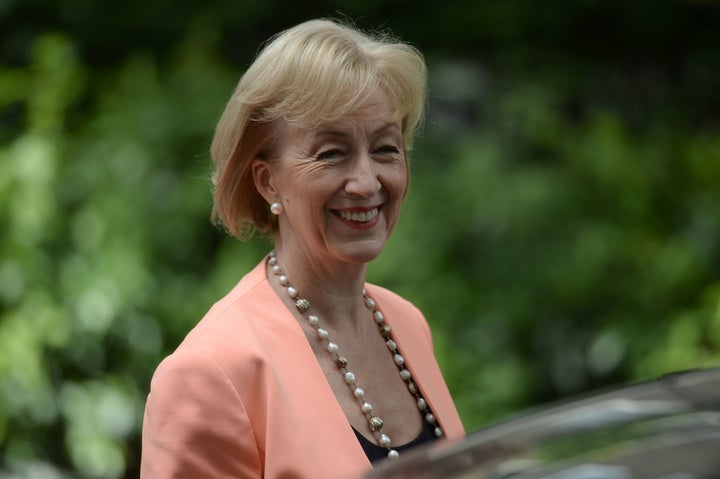 <strong>Environment secretary Andrea Leadsom</strong>