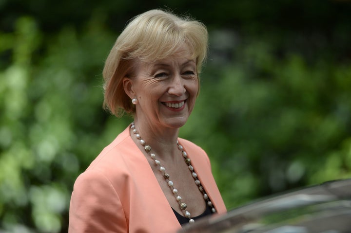 Environment secretary Andrea Leadsom