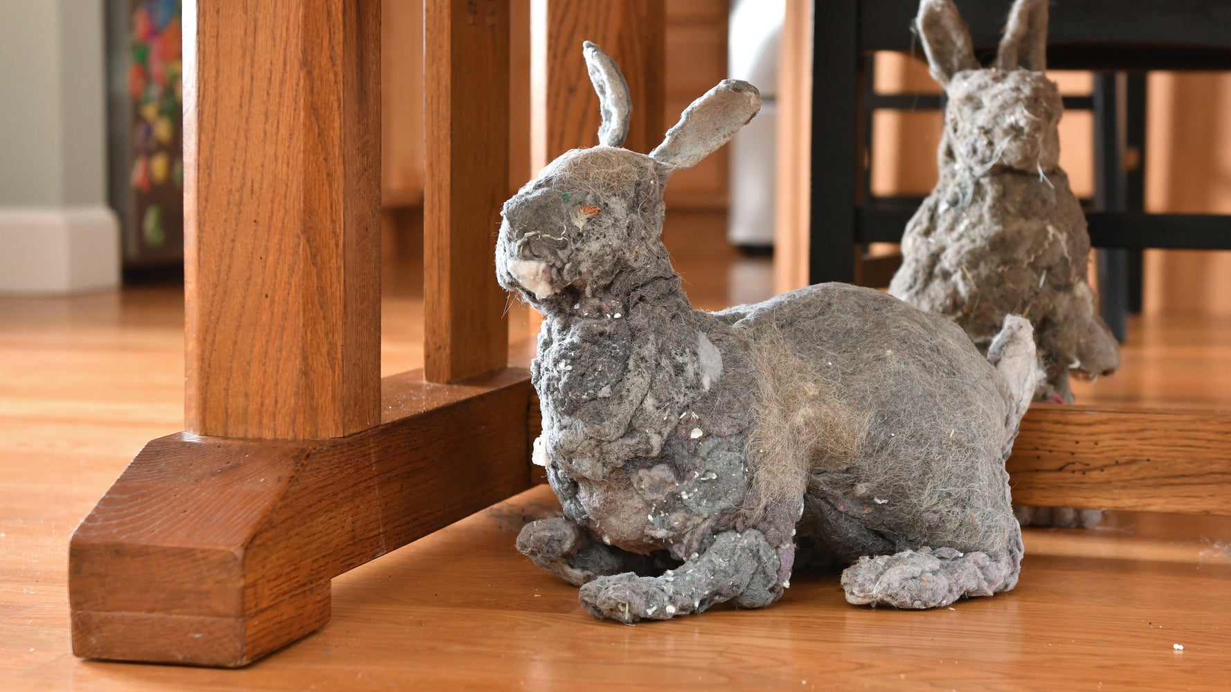 Artist Turns Dust Bunnies Into Rabbit Sculptures HuffPost Australia