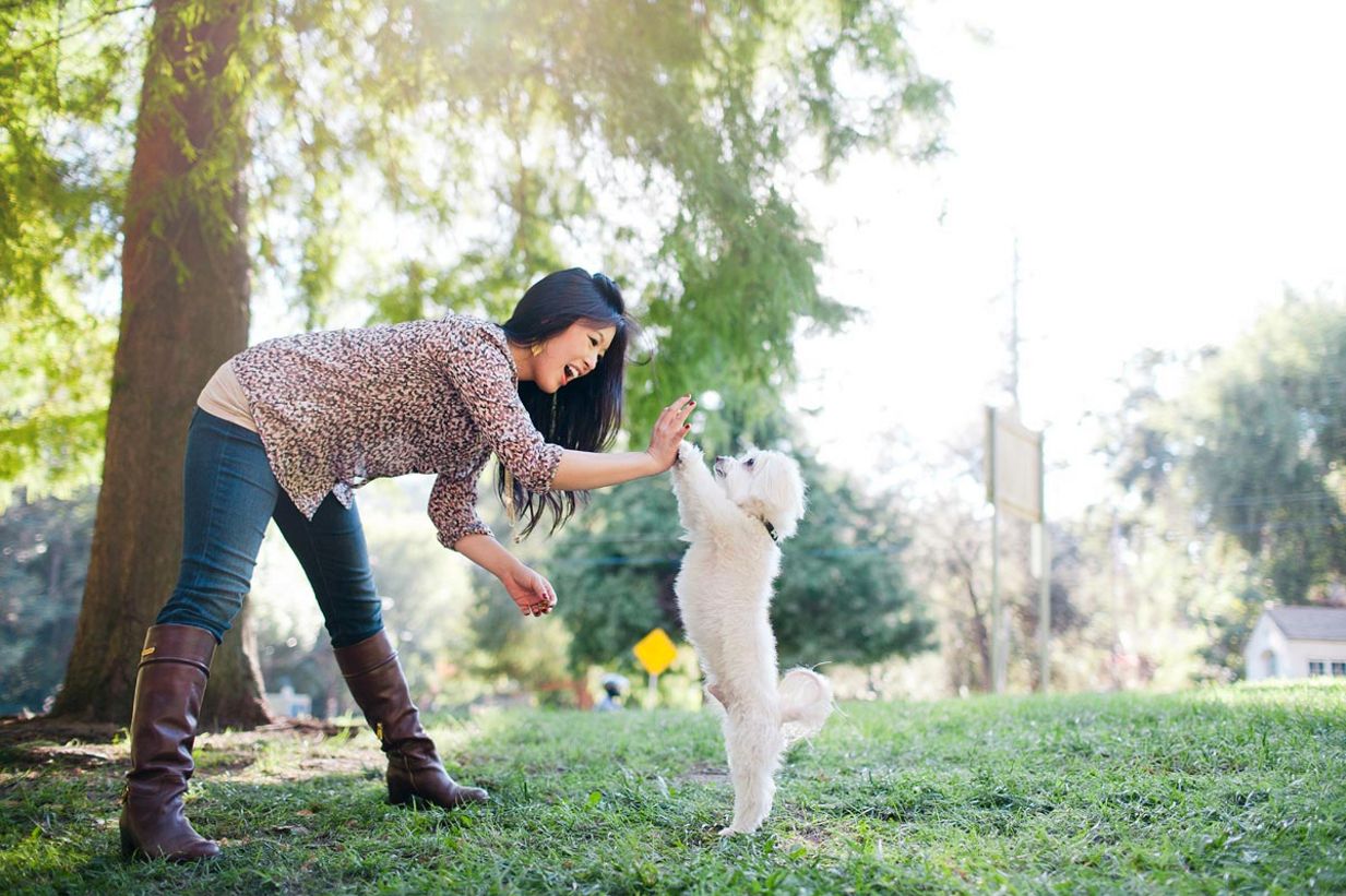 These Impossibly Sweet Photos Capture The Bond Between Dogs And Their ...