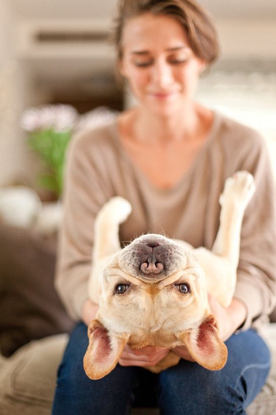 These Impossibly Sweet Photos Capture The Bond Between Dogs And Their