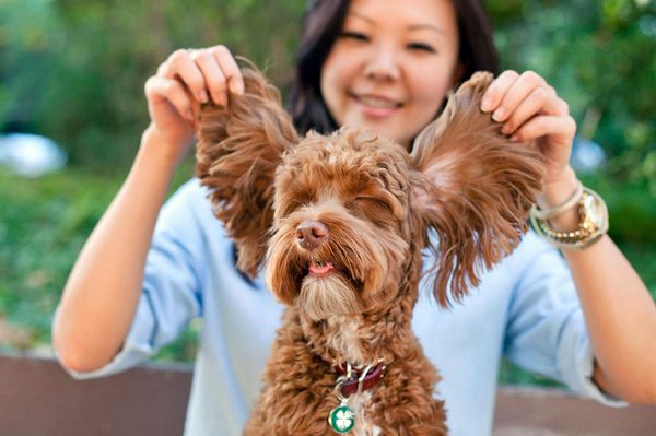 These Impossibly Sweet Photos Capture The Bond Between Dogs And Their