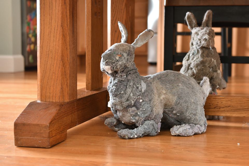 Artist Turns Dust Bunnies Into Rabbit Sculptures | HuffPost Weird