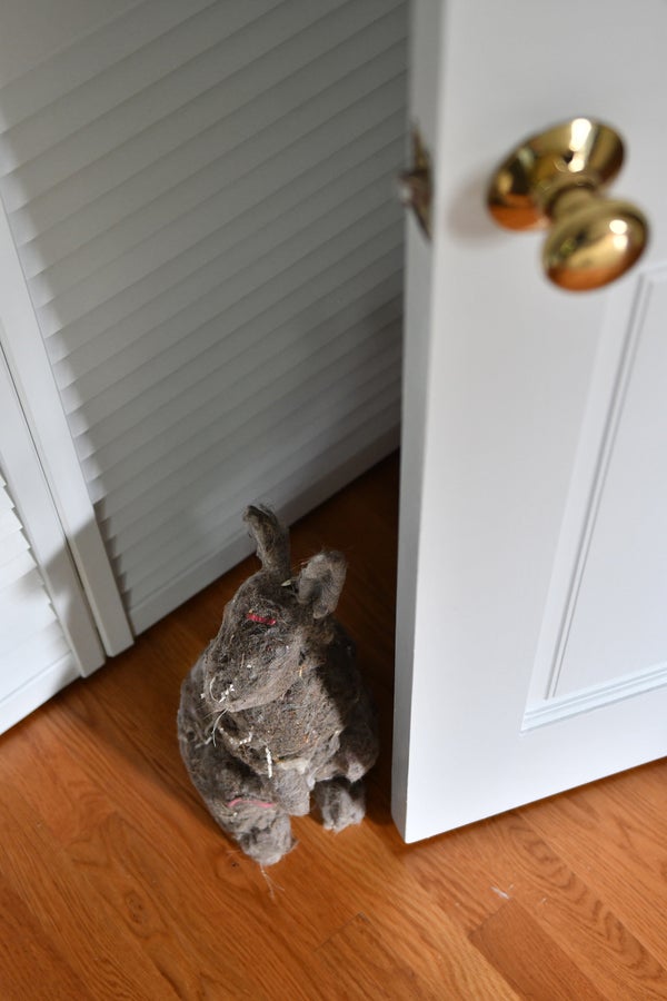 Artist Turns Dust Bunnies Into Rabbit Sculptures HuffPost