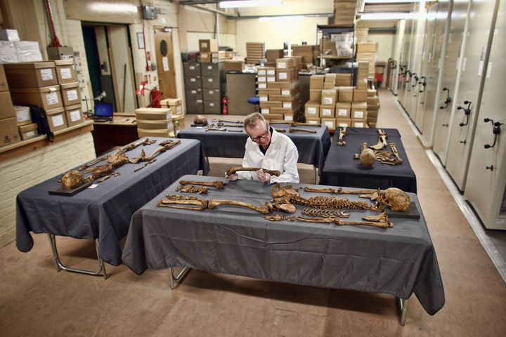 <strong>Don Walker, a senior Human Osteologist, checks skeletons excavated from the Bedlam burial ground.</strong>