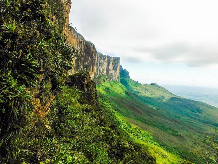 Would you pass up this beauty? It takes 5 days to trek up and down Roraima in Venezuela.