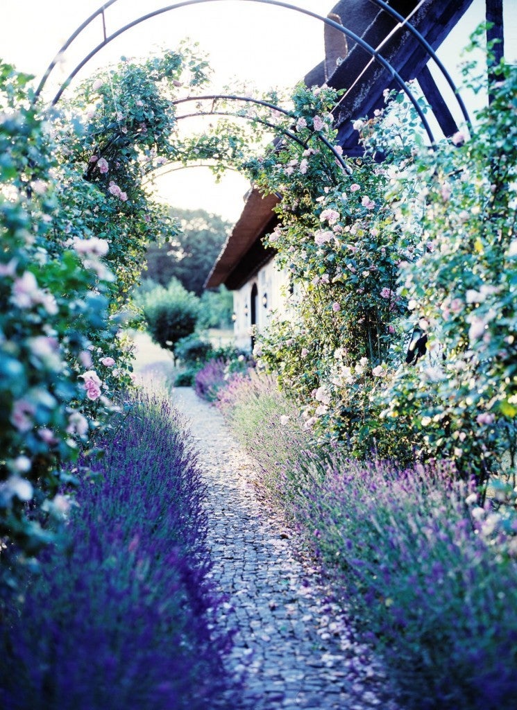Dreamy in the Spring time