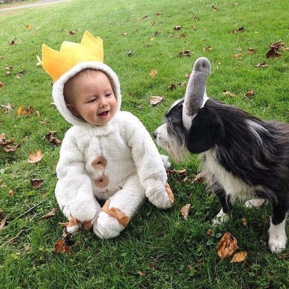 30 Perfect Halloween Costumes For Kid And Dog BFFs