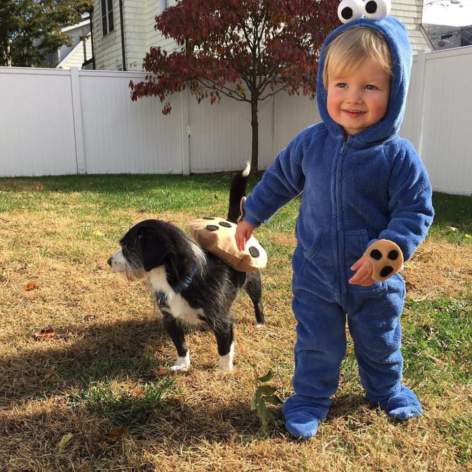 30 Perfect Halloween Costumes For Kid And Dog BFFs