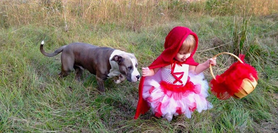 Cute Dog Costumes For Girls