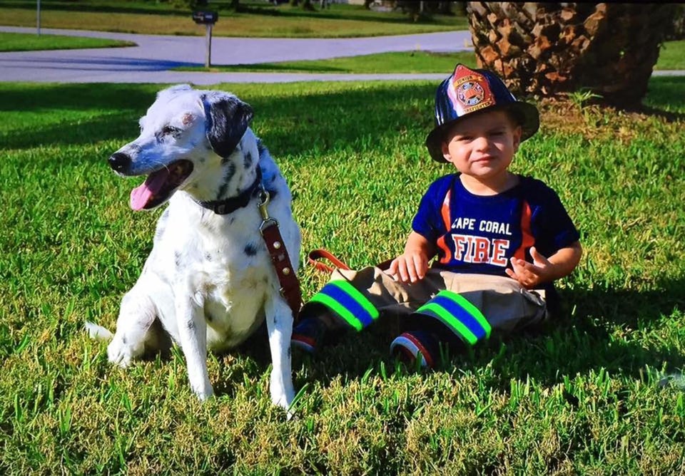 30 Perfect Halloween Costumes For Kid And Dog BFFs