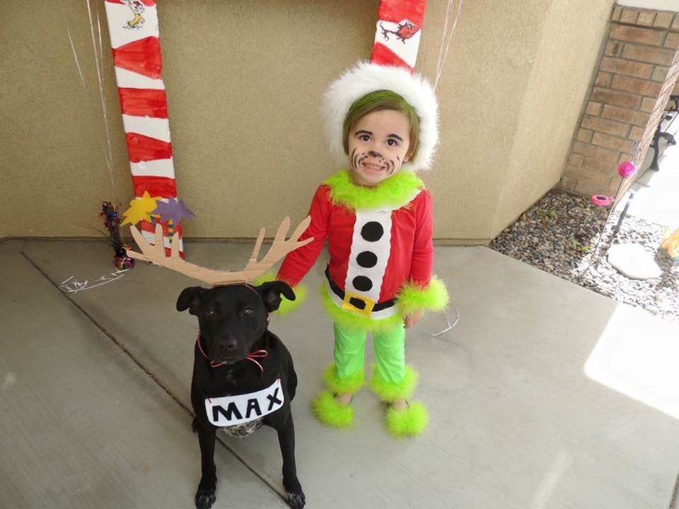 30 Perfect Halloween Costumes For Kid And Dog Bffs Huffpost Life