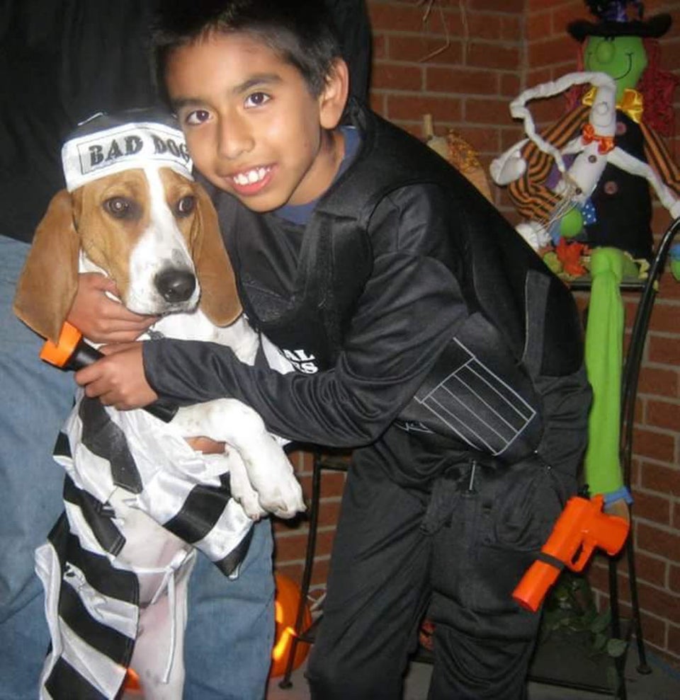 Boy and shop girl dog costumes