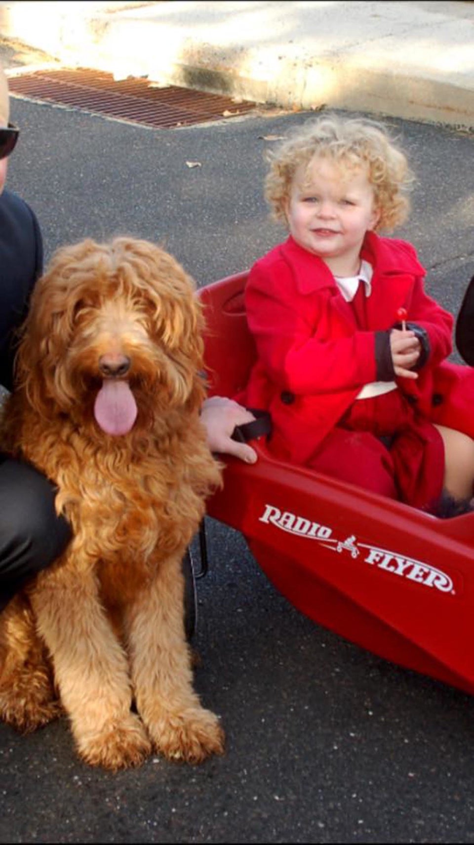 30 Perfect Halloween Costumes For Kid And Dog BFFs