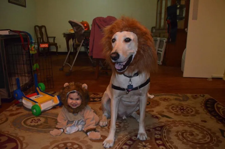 Toddler Deluxe Brown Dog Costume