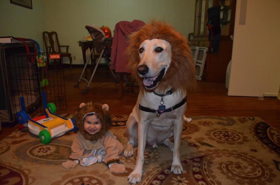 30 Perfect Halloween Costumes For Kid And Dog BFFs