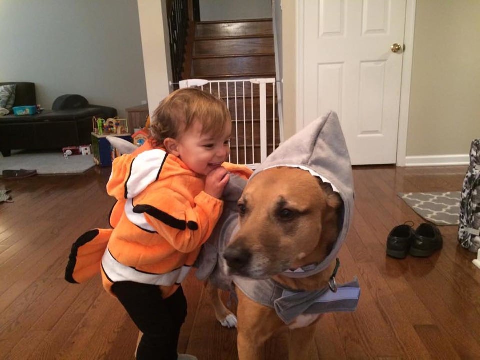 30 Perfect Halloween Costumes For Kid And Dog BFFs