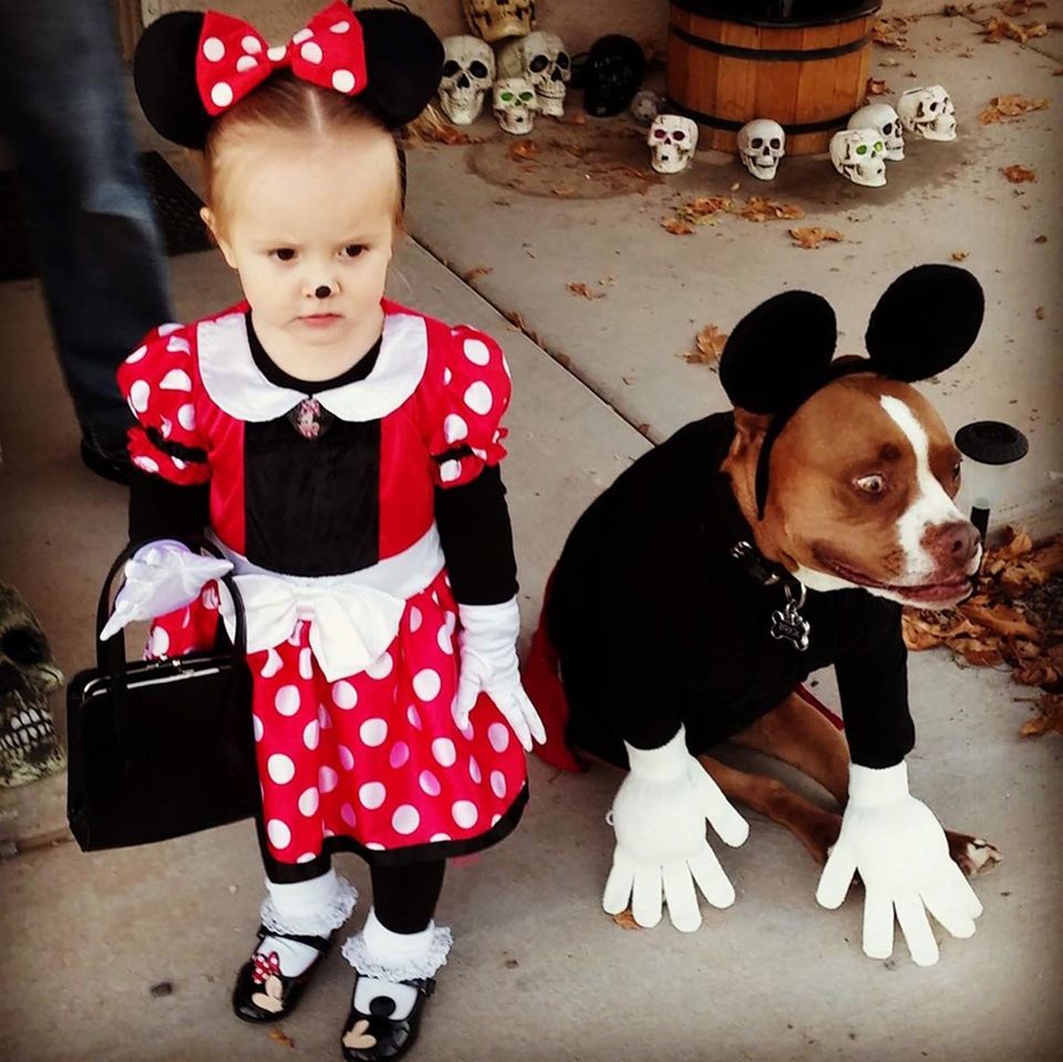30 Perfect Halloween Costumes For Kid And Dog BFFs