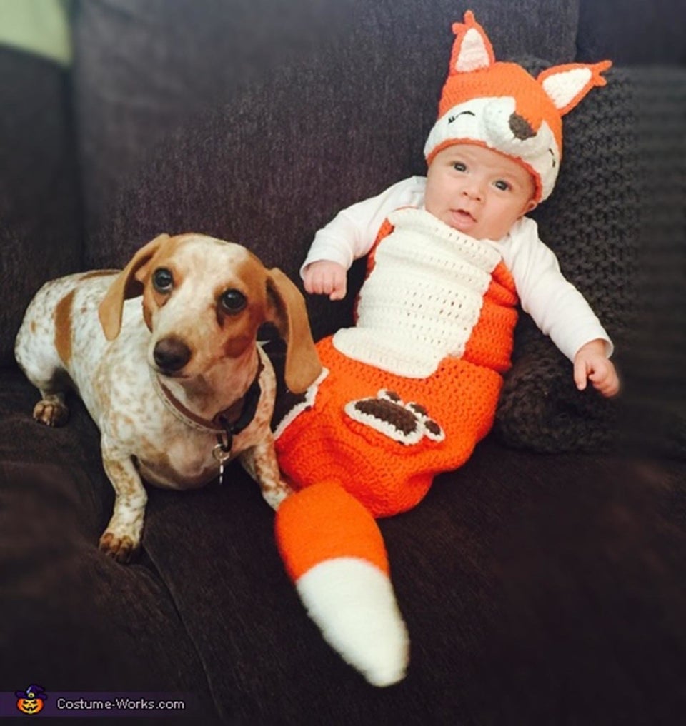 30 Perfect Costumes For Kid And Dog Bffs Huffpost Life Costume Works