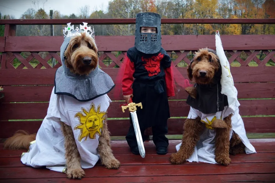 10 Homemade Costumes for Dogs