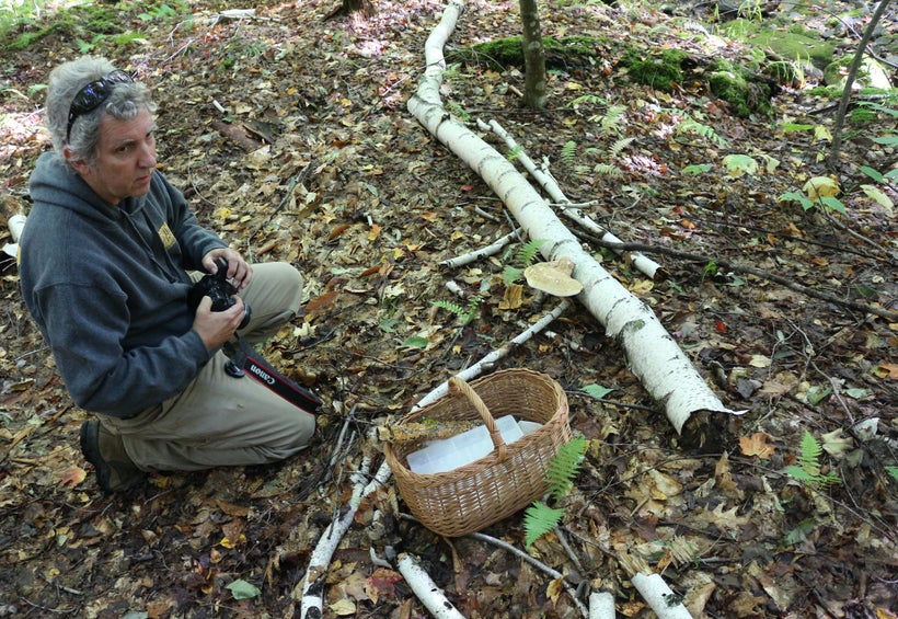 Documenting fungi