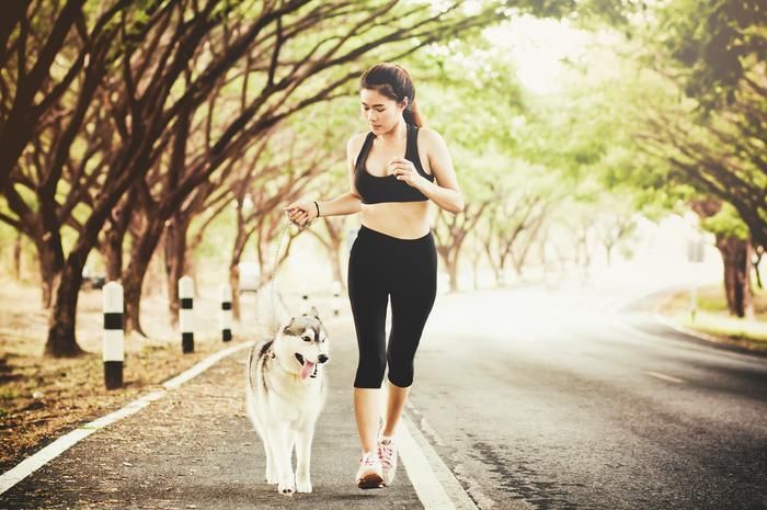 Exercise with your Dog