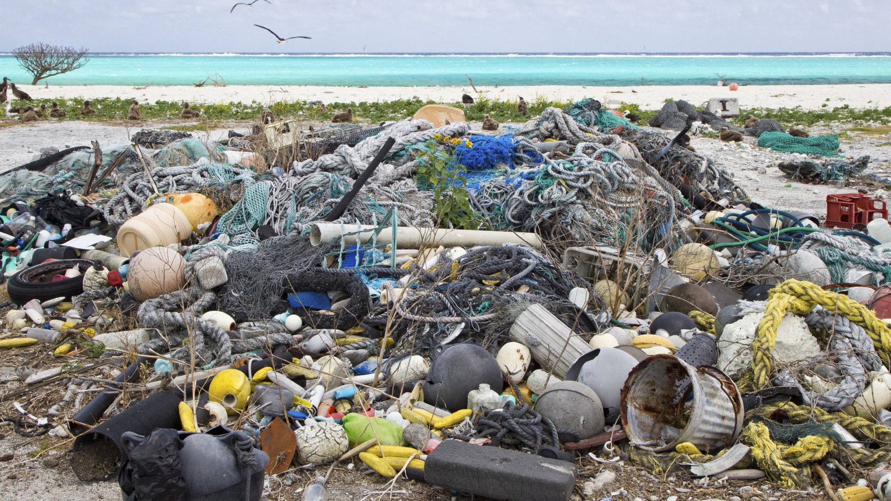 The Great Pacific Garbage Patch Is Even Worse Than We Feared | HuffPost