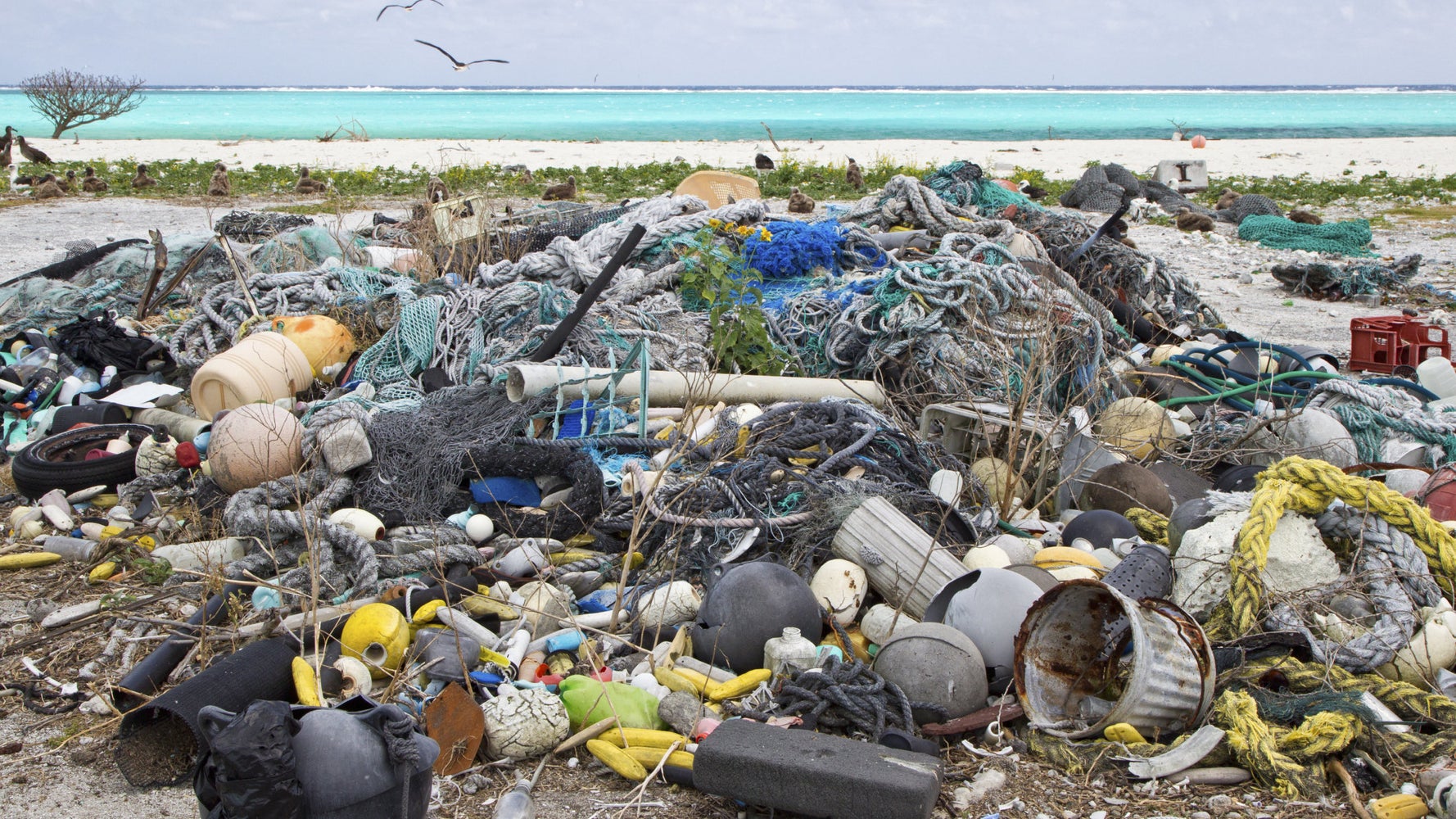 Trash World trash-world