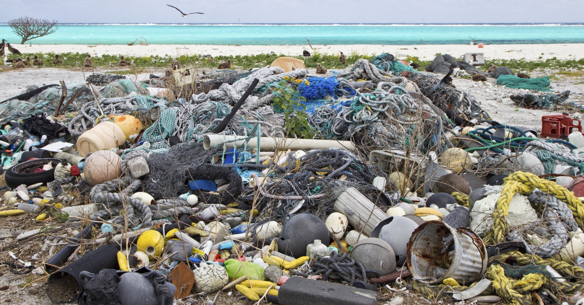 The Great Pacific Garbage Patch Is Even Worse Than We