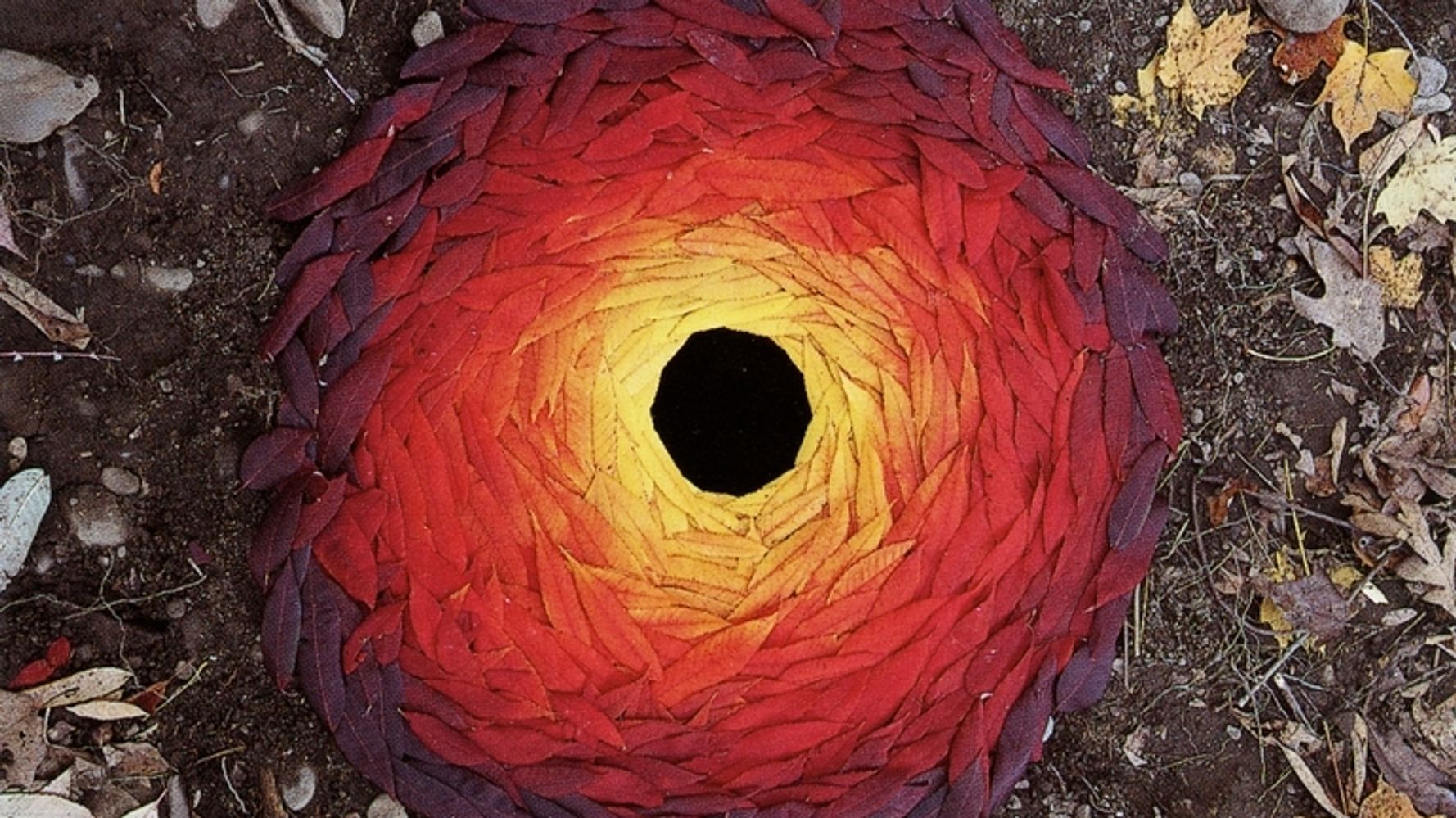 andy goldsworthy fall leaves