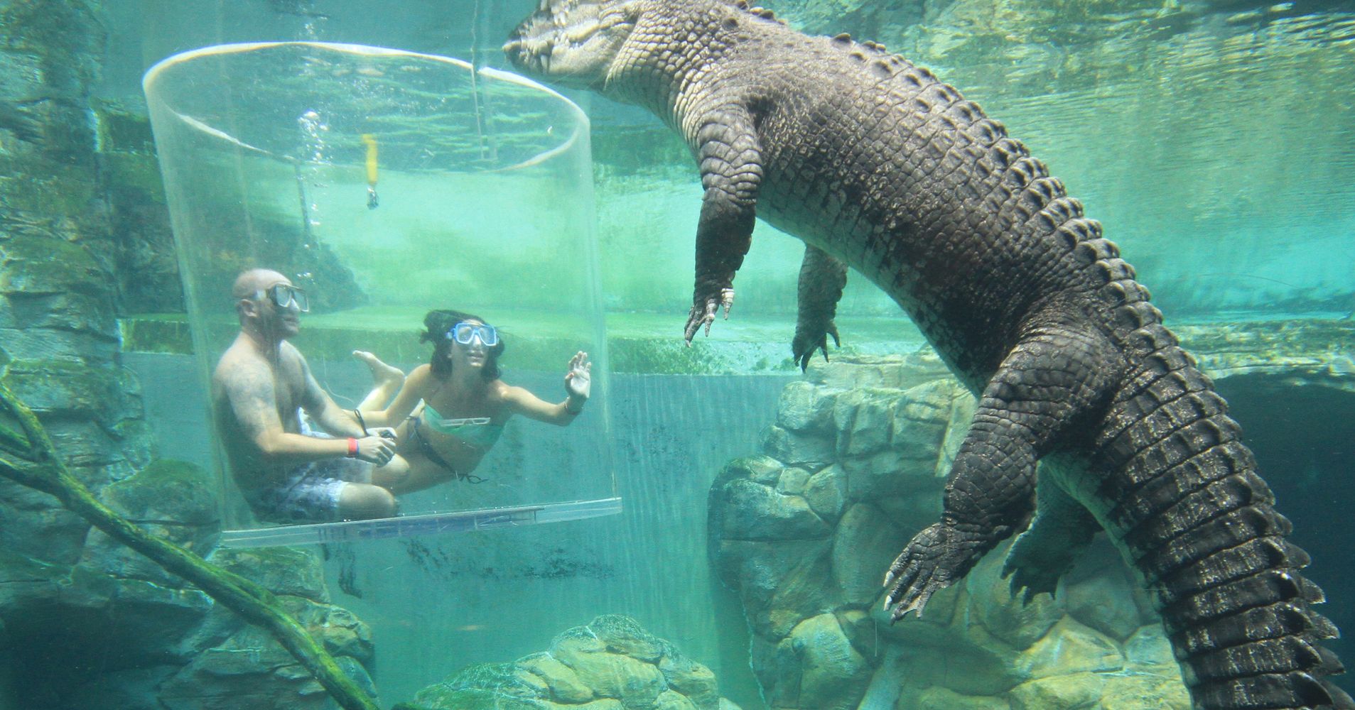 crocodile floaties