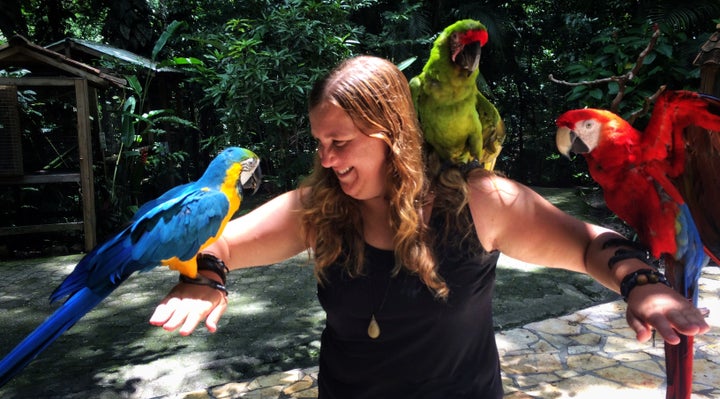 Human interaction is good for those birds that are used to it, and it's a wonderful experience to hang out with these stunning creatures. 