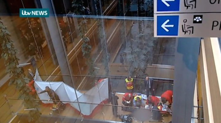 Woolfe was treated by paramedics after collapsing inside the European Parliament