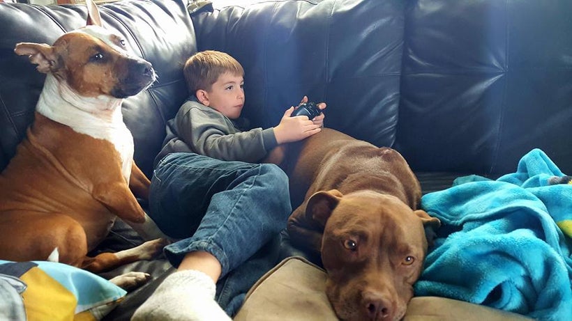 A dog (or two) is a child's best friend.