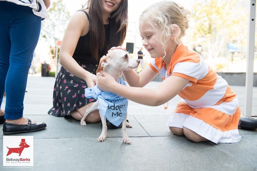 Gumdrop asks Molly Grace if she could be a forever part of her home.