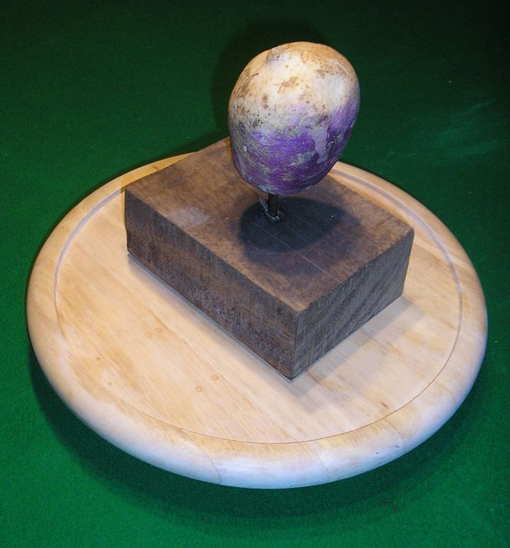 The Turnip Prize, which parodies the acclaimed Turner Prize, is awarded each December to the world's intentionally worst piece of art.