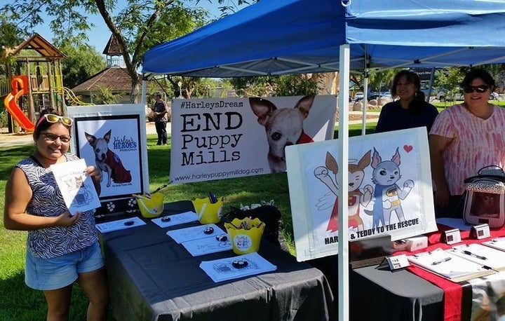 Sharing #HarleysDream during Woofstock in Escondido 