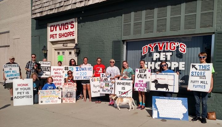 Protesting in front of Dyvig's Pet Shoppe is nothing new for these passionate advocates.